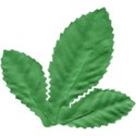 cwJOY-ClassicChristmas-leaves1