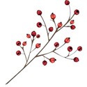 cwJOY-TraditionalChristmas-berries1