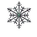 C3 snowflake