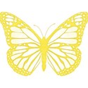 cwJOY-Baby1stYear-Girl-butterfly