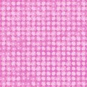 BG_Daisies_Pink