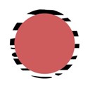 zebra circle frame