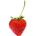 strawberry 2