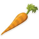 JAM-GrillinOut1-carrot