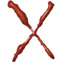 JAM-GrillinOut1-ketchup-uc-X
