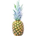 JAM-GrillinOut2-pineapple1