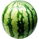 JAM-GrillinOut2-watermelon1