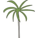 JAM-BeachFun1-palmtree