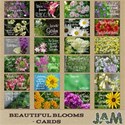 JAM-BeautifulBlooms2-cardsprev