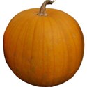 JAM-FallFestival-pumpkin1