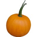 JAM-FallFestival-pumpkin2