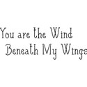 You-are-the-Wind-Beneath-My-Wings