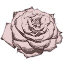 rose_cutout2