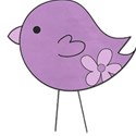 two toned violet bird