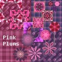 jThompson_pinkplums_prev