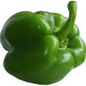 Pepper green