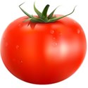Tomatoe single