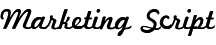 Marketing Script