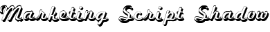 Marketing Script Shadow