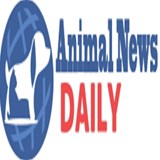 Animal News 24