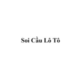 soicauloto