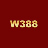 w388-cam