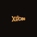 xoc88-site