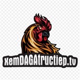 xemdagatructieptv