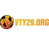 vty29org