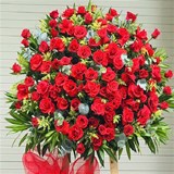 shop hoa bến tre