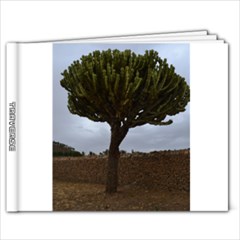 TRAVERSE - 9x7 Photo Book (20 pages)
