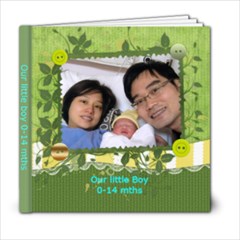 My little boy 0-14 months - 6x6 Photo Book (20 pages)