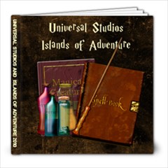 Universal Studios 2010 - 8x8 Photo Book (20 pages)