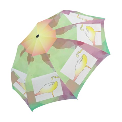 Folding Umbrella 