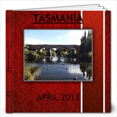 Tassie - 12x12 Photo Book (20 pages)