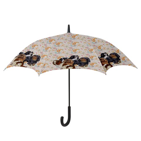 Hook Handle Umbrella (Large) 