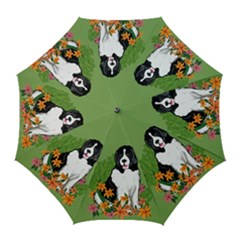 Landseer In Garden Umbrella - Golf Umbrella