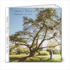 DA wedding - 6x6 Photo Book (20 pages)