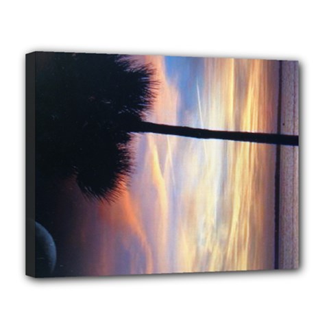 11x14 canvas Palmetto tree - Canvas 14  x 11  (Stretched)