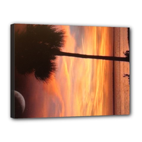 12x16 Palmetto Tree Canvas - Canvas 16  x 12  (Stretched)