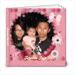 yyz11 - 6x6 Photo Book (20 pages)