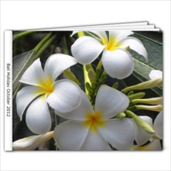 Bali 2012 - 9x7 Photo Book (20 pages)