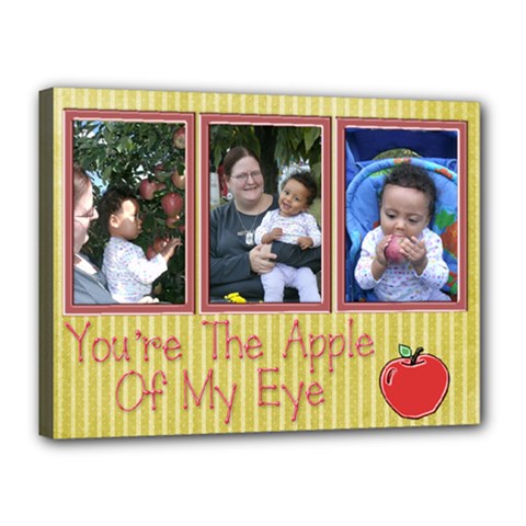 apple canvas - Canvas 16  x 12  (Stretched)