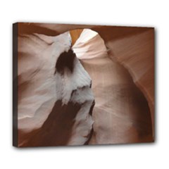 Deluxe Canvas 24  x 20  (Stretched) 