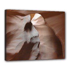 Canvas 20  x 16  (Stretched) 