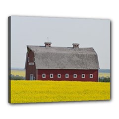 Canvas 20  x 16  (Stretched) 