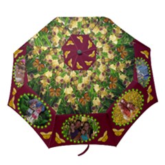 Golden Iris folding umbrella