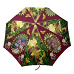 Golden Iris folding umbrella