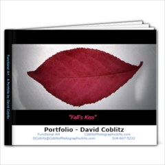 David Coblitz Portfolio - Functional Art - 9x7 Photo Book (20 pages)
