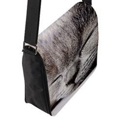 Flap Closure Messenger Bag (L) 